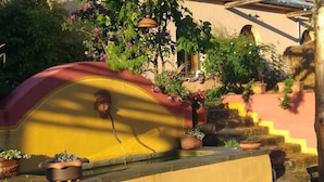 Una pared amarilla con parte superior curva, plantas en macetas y una pequeña fuente.