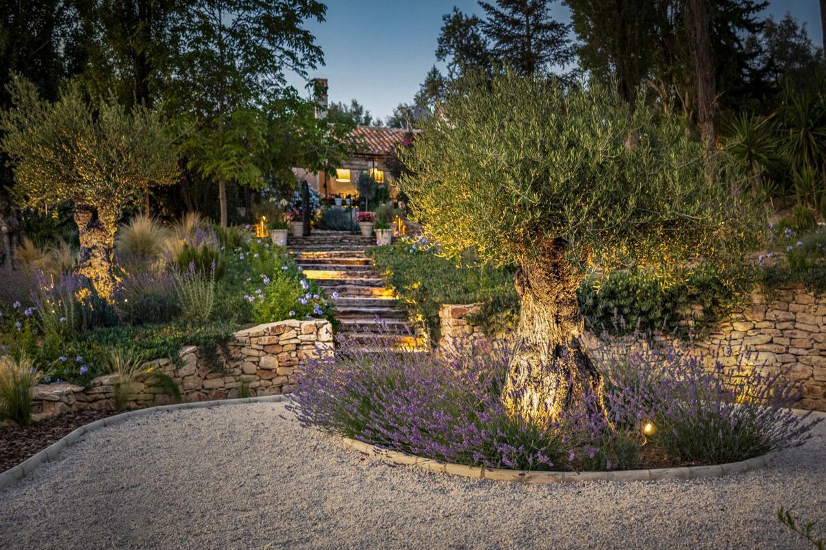 A garden pathway leading to a house with stone steps and a stone wall, surrounded by various plants and flowers.