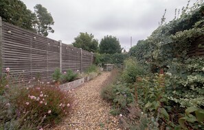 A garden pathway with a wooden fence on one side and a hedge on the other. - Juniper Cottage is a quaint, two-bedroom Grade II listed property featuring white wooden cladding. (Whitstable)