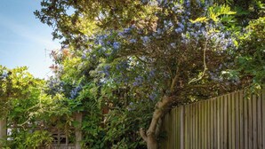 Unclassified image, 5 of 24, button - Eden Cottage sleeps six and is decorated with a relaxing vibe very close to the town & beach. (Whitstable)