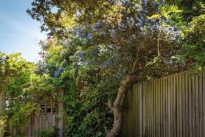 Property grounds - Eden Cottage sleeps six and is decorated with a relaxing vibe very close to the town & beach. (Whitstable)