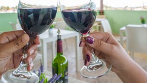 Two hands holding wine glasses filled with red wine, a bottle of wine, and a potted plant on a table under a covered patio. - La Casona MC (La Romana)