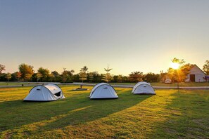 Three tents on a grassy field with a barn and trees in the background. - White Knot Khao Yai (Pak Chong)