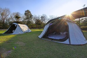 Two camping tents set up on a grassy field with trees in the background. - White Knot Khao Yai (Pak Chong)