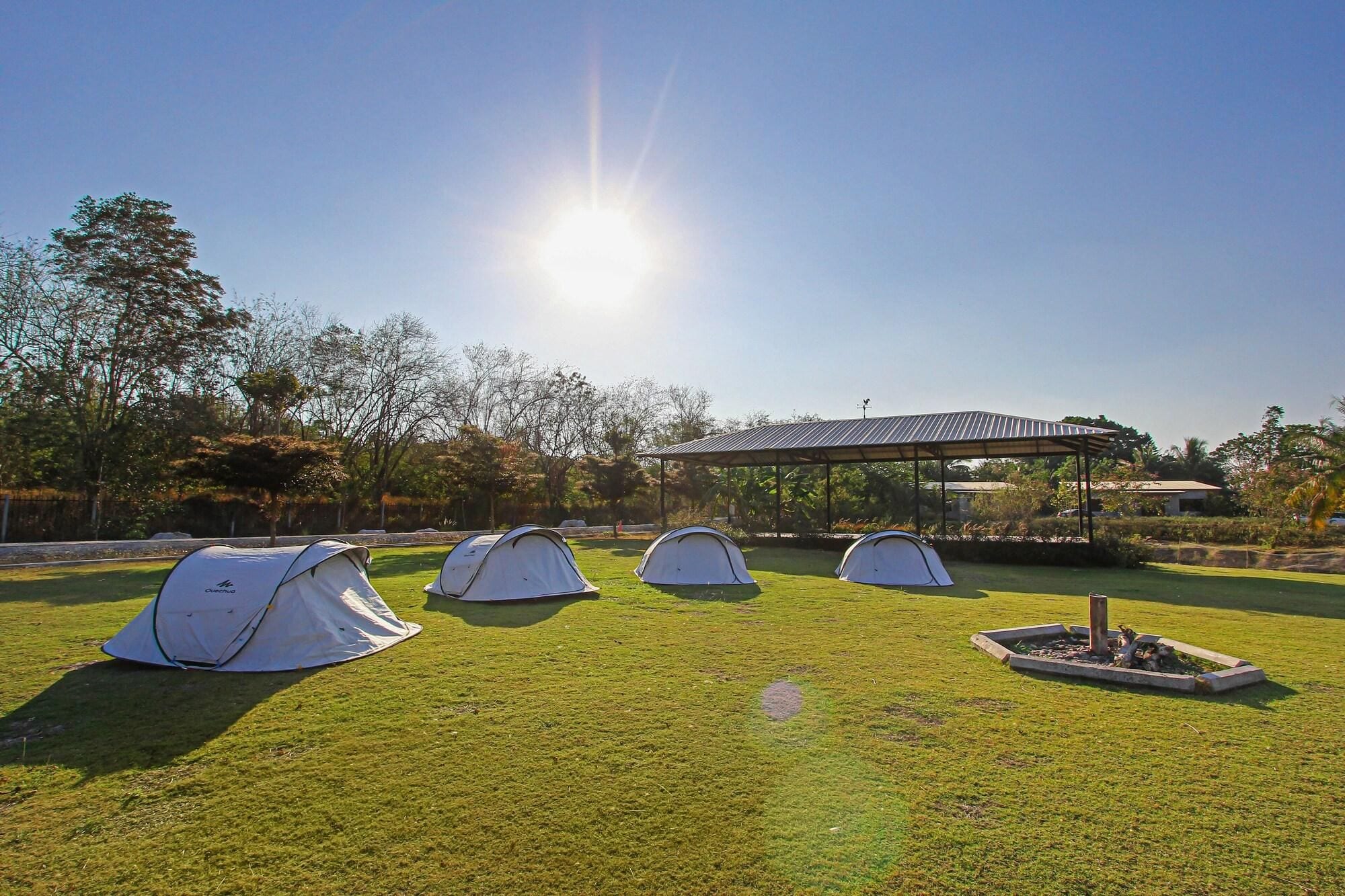 A grassy area with four tents and a covered pavilion.