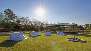 A grassy area with four tents and a covered pavilion.