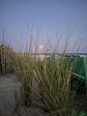 Sun-loungers, beach towels