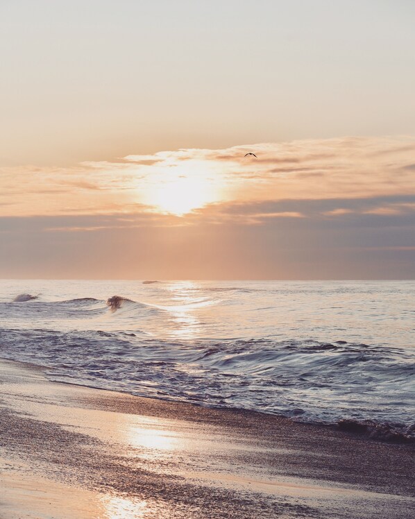 Aurinkotuoleja, rantapyyhkeitä