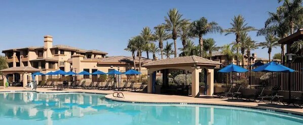 Relax by the pool surrounded by palm trees and lounge chairs.