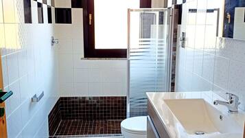 Shower, hair dryer, bidet