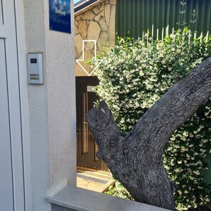 外観の詳細