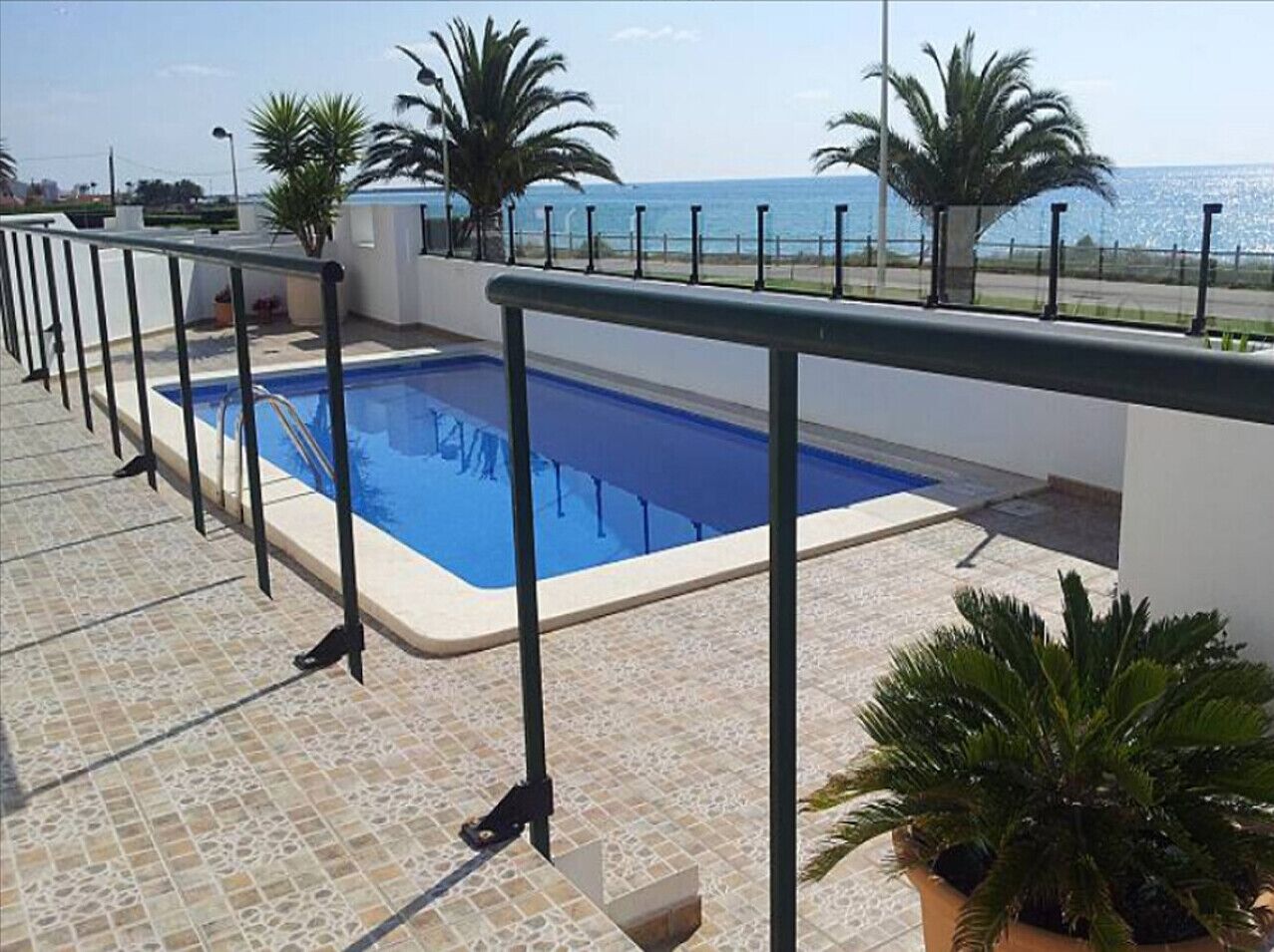 A rooftop swimming pool with a view of the sea, surrounded by palm trees and a tiled deck.