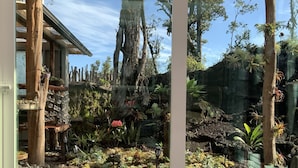 A tropical garden with a variety of plants and a wooden structure. - Exotic garden cottage  at amazing volcanic fissure (Mountain View)