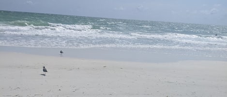 Beach nearby, sun-loungers, beach towels