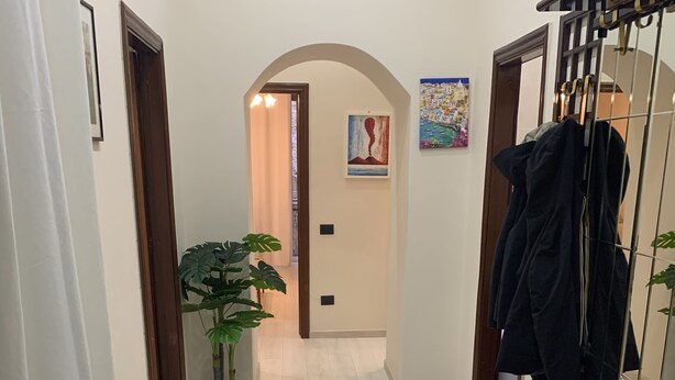 Un couloir avec un plancher en bois clair, une plante en pot, un porte-manteau et une porte donnant sur une autre pièce.