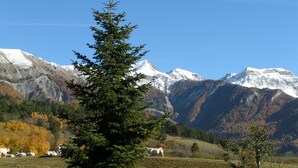 Un paysage de montagne avec un arbre au premier plan et des vaches qui paissent à l’arrière-plan.