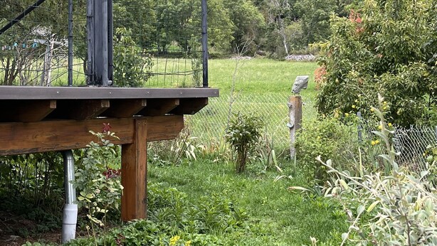 Une terrasse en bois avec une rambarde en métal, donnant sur un champ verdoyant et luxuriant et sur une chaîne de montagnes.