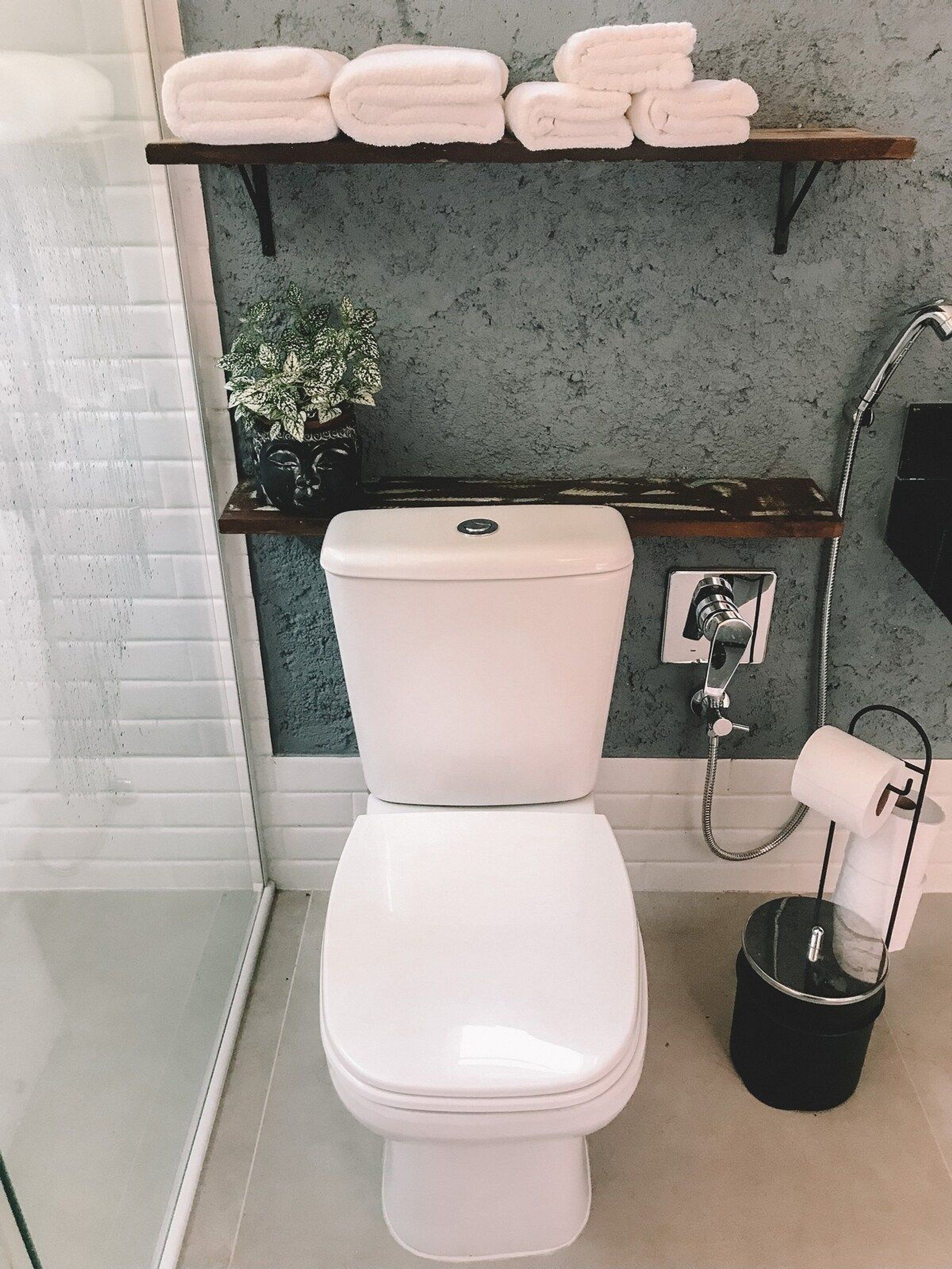 Ein modernes Badezimmer mit Toilette, Ablagefläche mit gefalteten Handtüchern, einem Blumentopf und einem Toilettenpapierhalter.