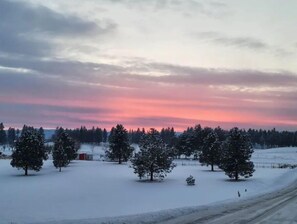 Escape to a serene winter wonderland with snow-covered trees and a scenic road.