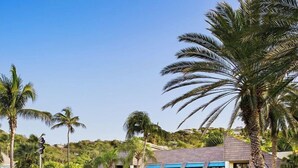 A resort pool area with lounge chairs, umbrellas, and palm trees. - Luxury resort with beach, pool, many amenities (Cruz Bay)
