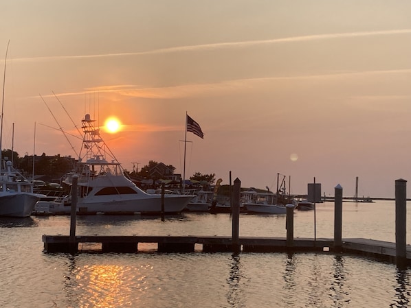Marina