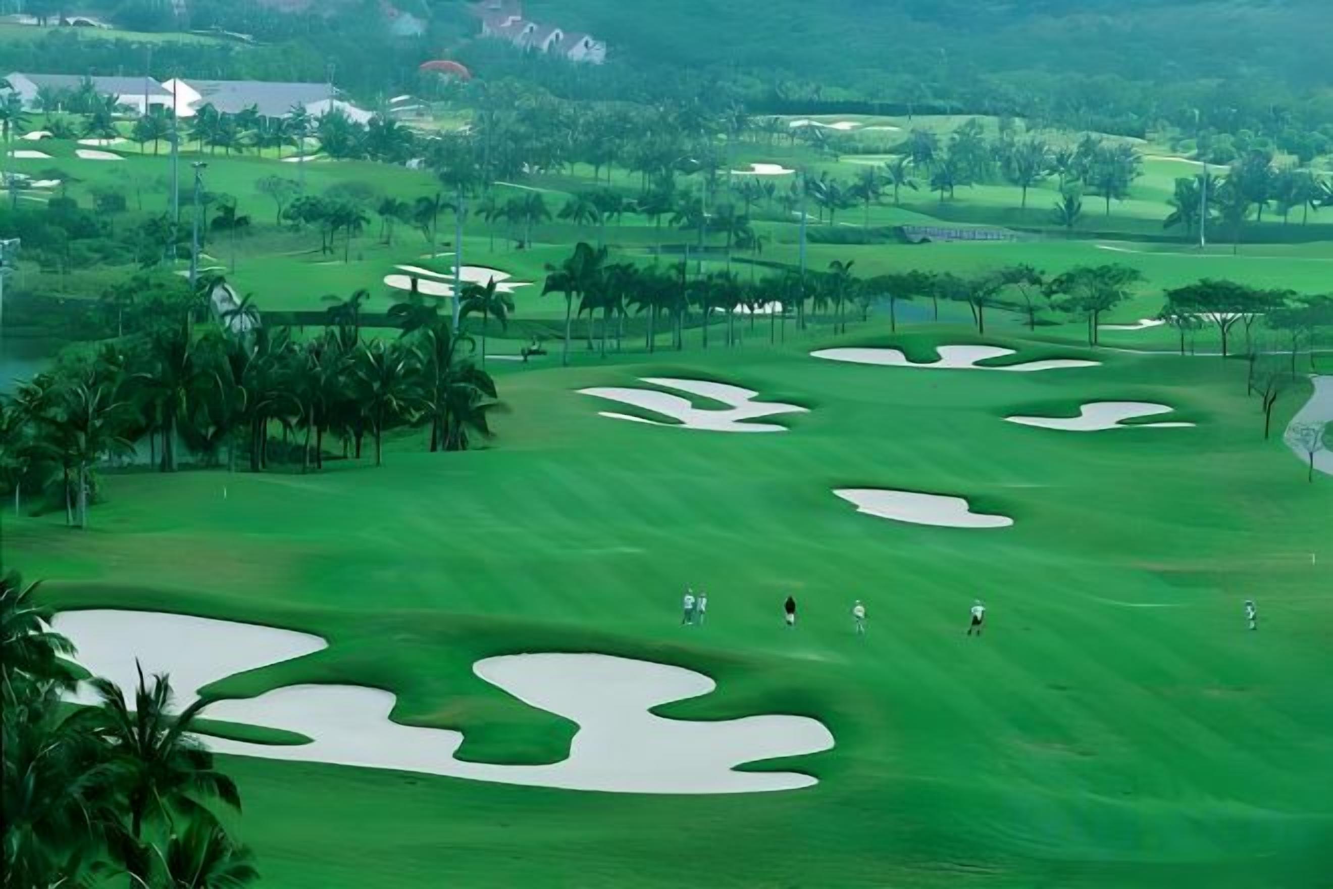 Un parcours de golf avec des bunkers de sable, des palmiers et un ciel dégagé.