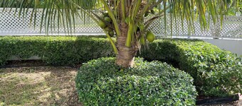 Cozy studio #5 with pool near beach  VRBO