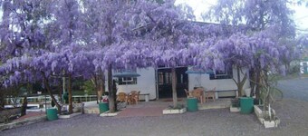 Harry World Parque Hotel