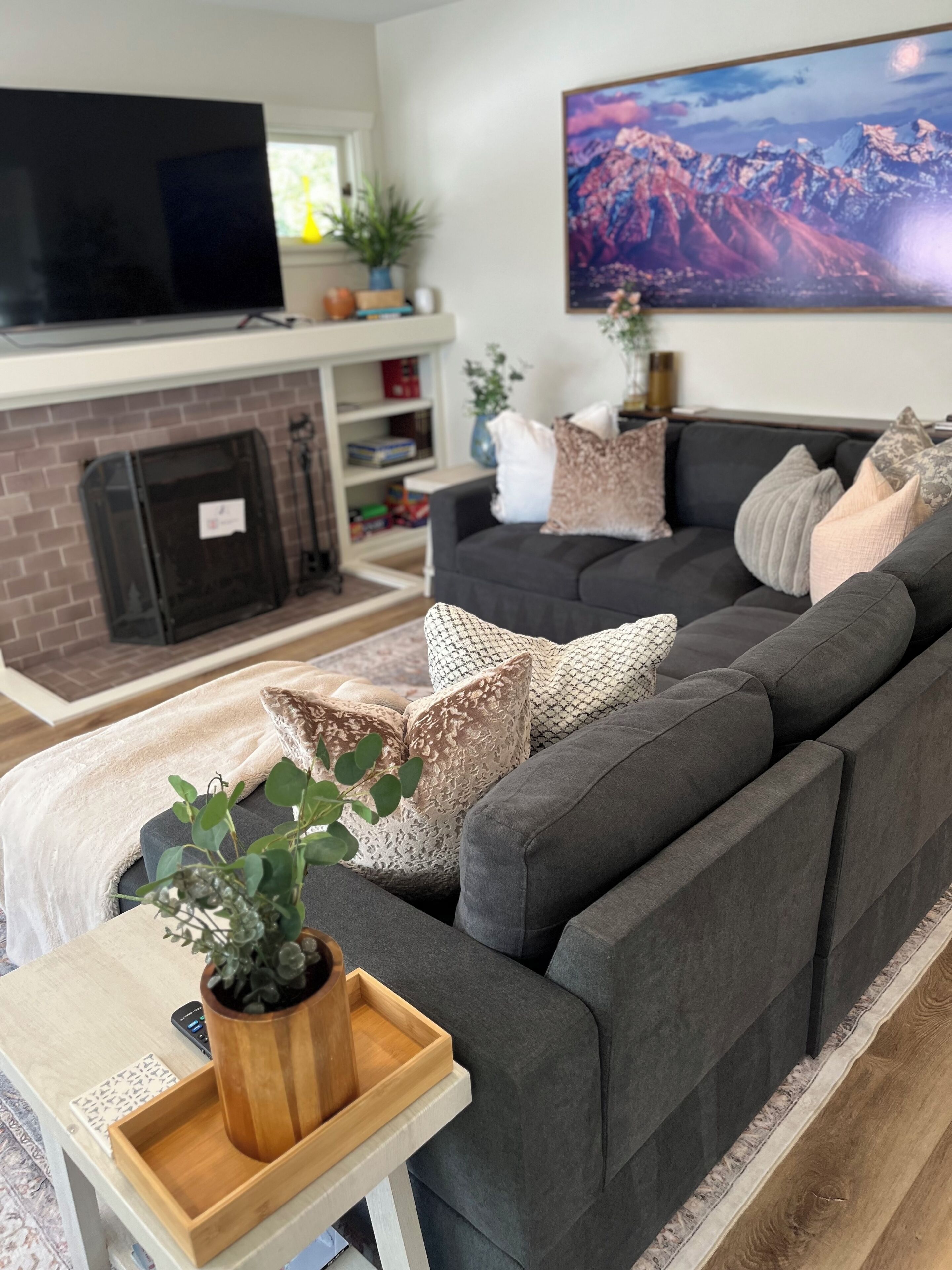 Smart TV, fireplace, books