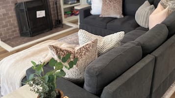 Smart TV, fireplace, books