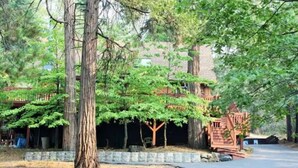 A building with a stone facade, surrounded by trees and a paved driveway.