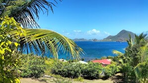 Paisaje tropical con vista al océano, palmeras y un edificio de techo rojo.