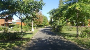 A residential street lined with trees and houses.