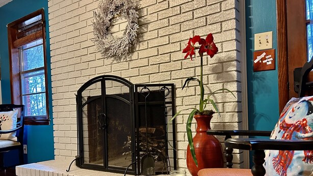 Une cheminée avec un paravent en métal noir, un vase rouge orné de feuilles vertes et une fleur rouge.