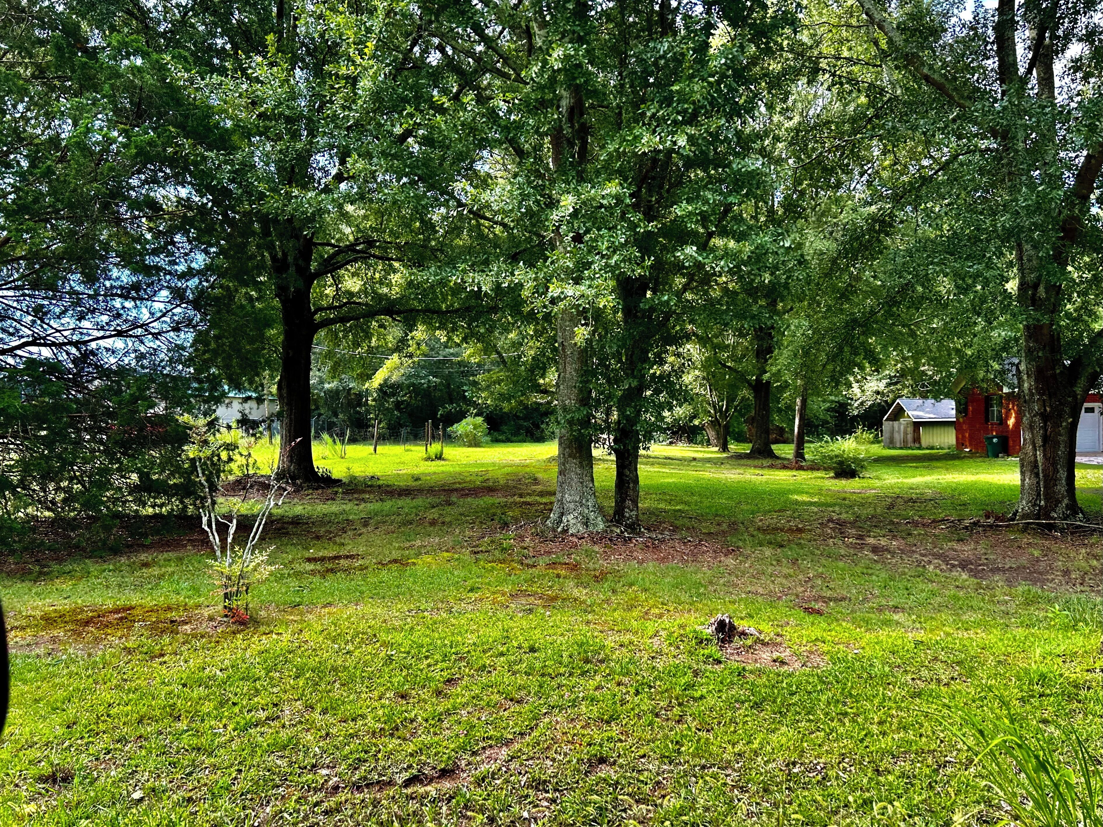 A grassy area with trees and a red building in the background.