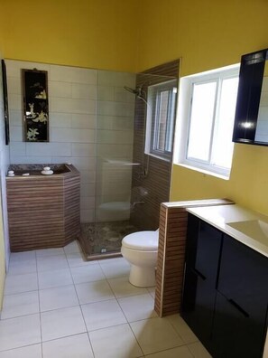 Hair dryer - Ahh! (Pool/Ocean View Room w/ Private Bath) (Boston Bay)