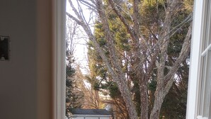 Blick durch eine Tür in einen Garten mit einer Holzterrasse, einem weißen Zaun und Bäumen.