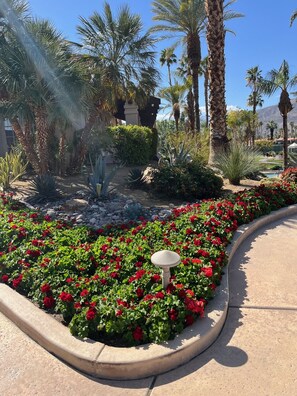 Parco della struttura