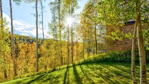 Ein bewaldetes Gebiet mit hoch aufragenden Bäumen, die Schatten auf das Gras werfen, ein Ziegelgebäude und eine Bergkette im Hintergrund.