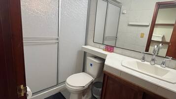 A bathroom with a toilet, sink, mirror, and shower.