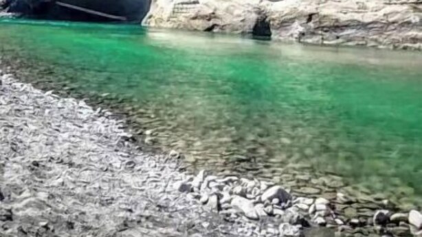 Un paysage naturel caractérisé par un plan d’eau aux eaux claires, un terrain rocheux et une forêt dense.