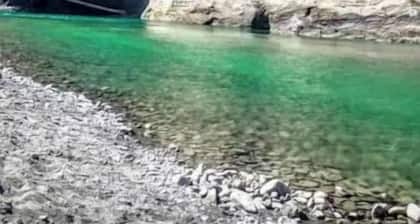 Stylish & Bright , King Bed, Downtown Oasis