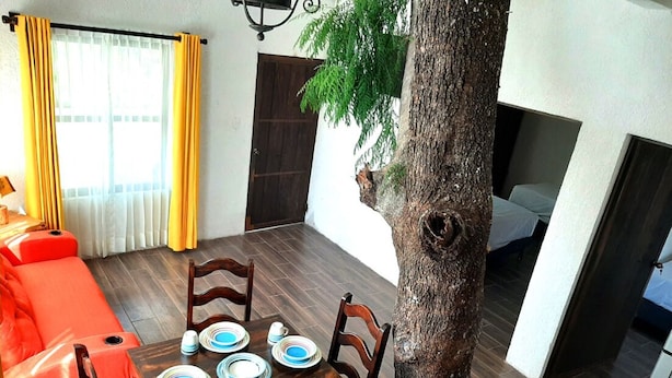 Un comedor con una mesa de madera dispuesta para cuatro personas, rodeada de sillas. Un tronco de árbol se encuentra en el centro, y un sofá con cojines anaranjados se ve a la izquierda.