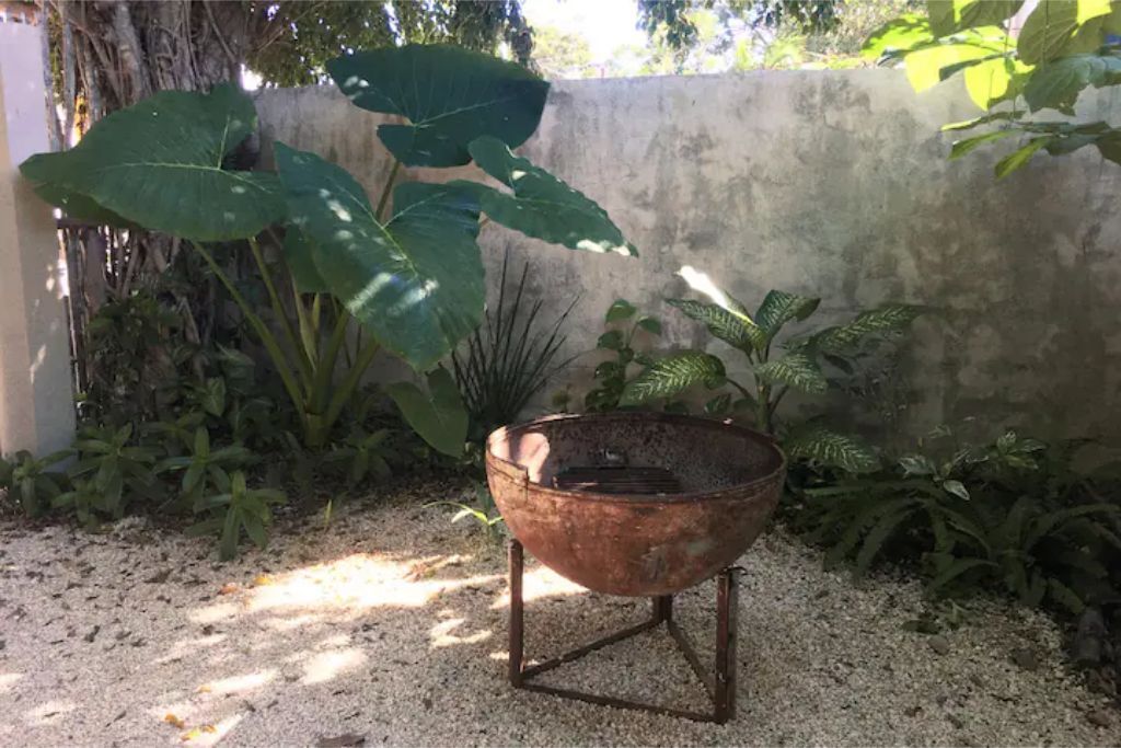 Terrein van de accommodatie