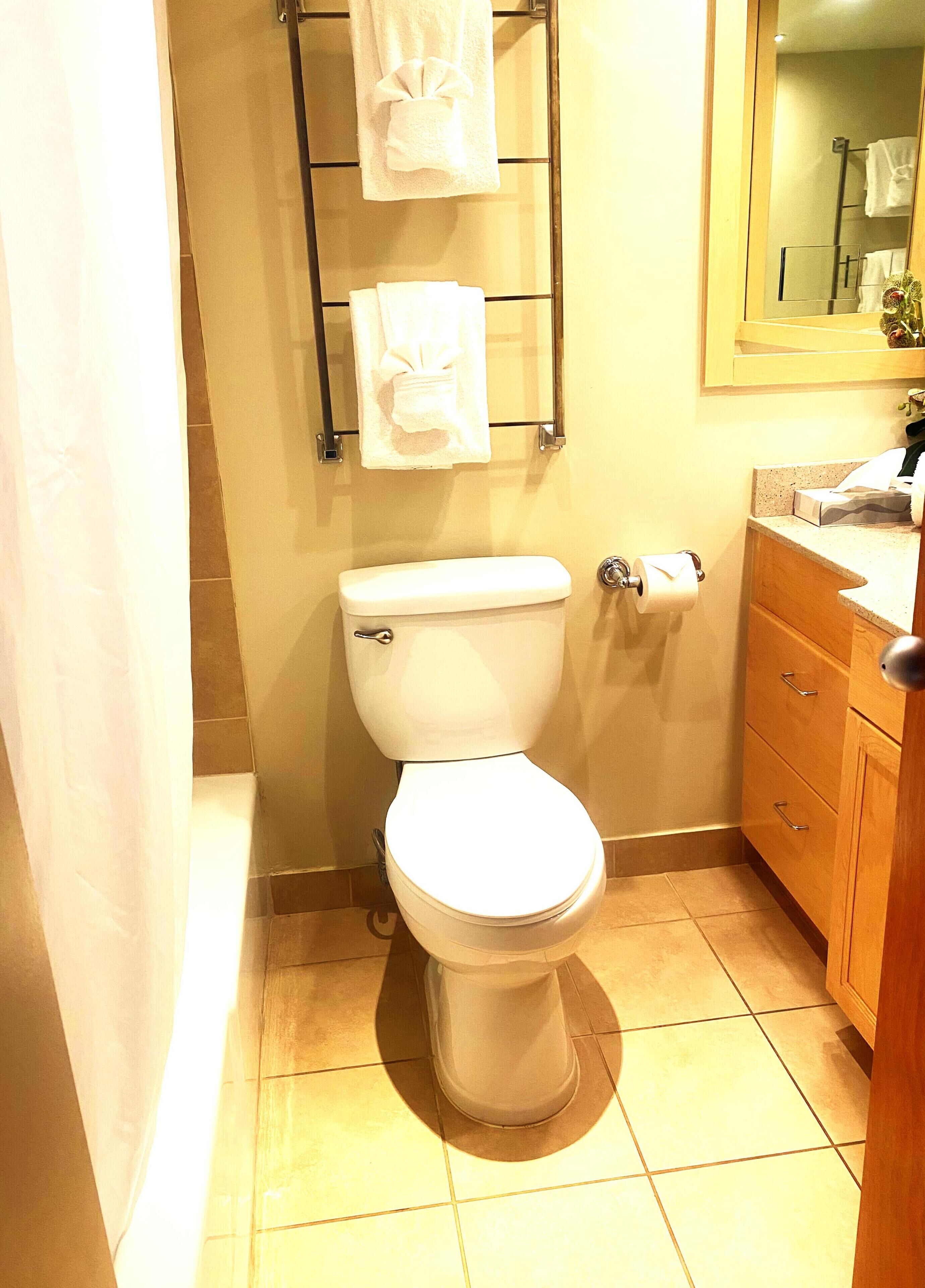 A standard bathroom with a toilet, a towel rack, a sink, and a mirror.