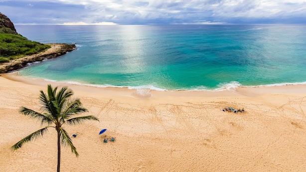 A beach with a palm tree, a clear sky, and calm waters. - Hawaiian Princess at Makaha Beach (Waianae)