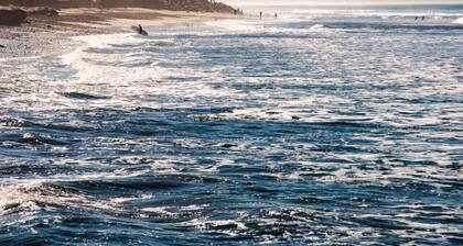 Stylish Vista Gem, Walk To Downtown, Near Beach