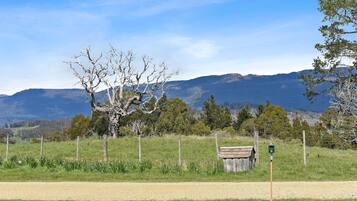 A rural landscape with a dirt road, a wooden structure, and a fenced area with a tree in the foreground.