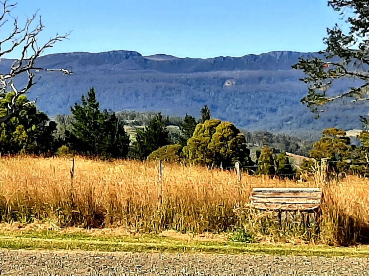 Paisaje rural con un banco de madera en un campo de hierba alta, una cerca y montañas al fondo.