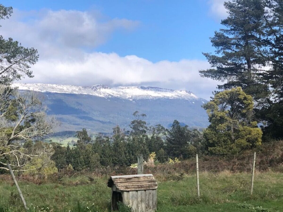 Una estructura de madera en un campo cubierto de hierba, con una montaña al fondo.
